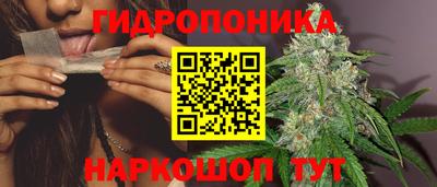 spice Бузулук