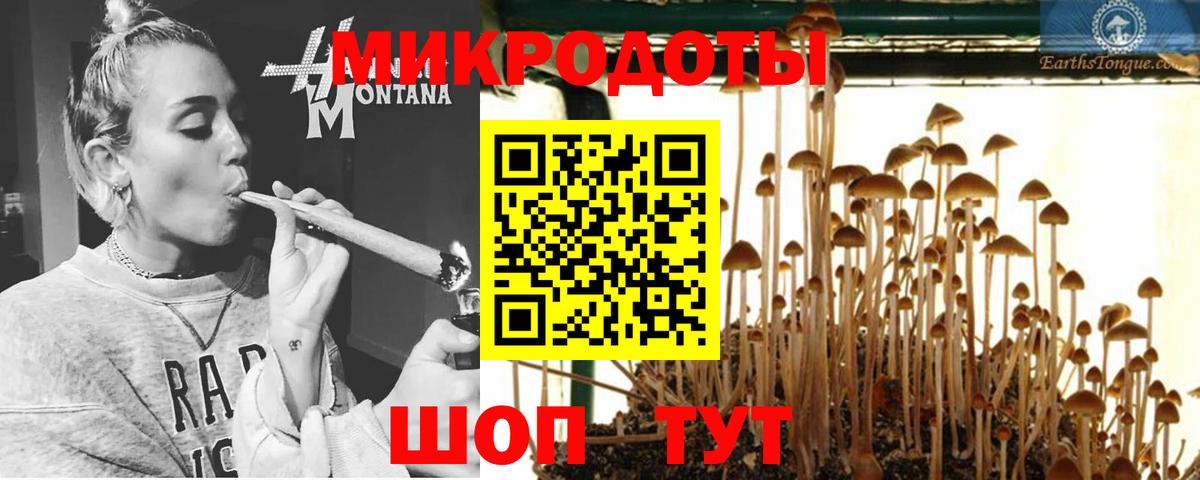 Луга  Псилоцибиновые грибы Psilocybine cubensis  Вход с VPN 
